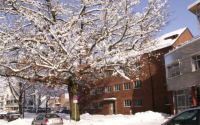 HLV special offer: B1-C1 German courses in Nuremberg with special rates and student accommodation for Tunisians